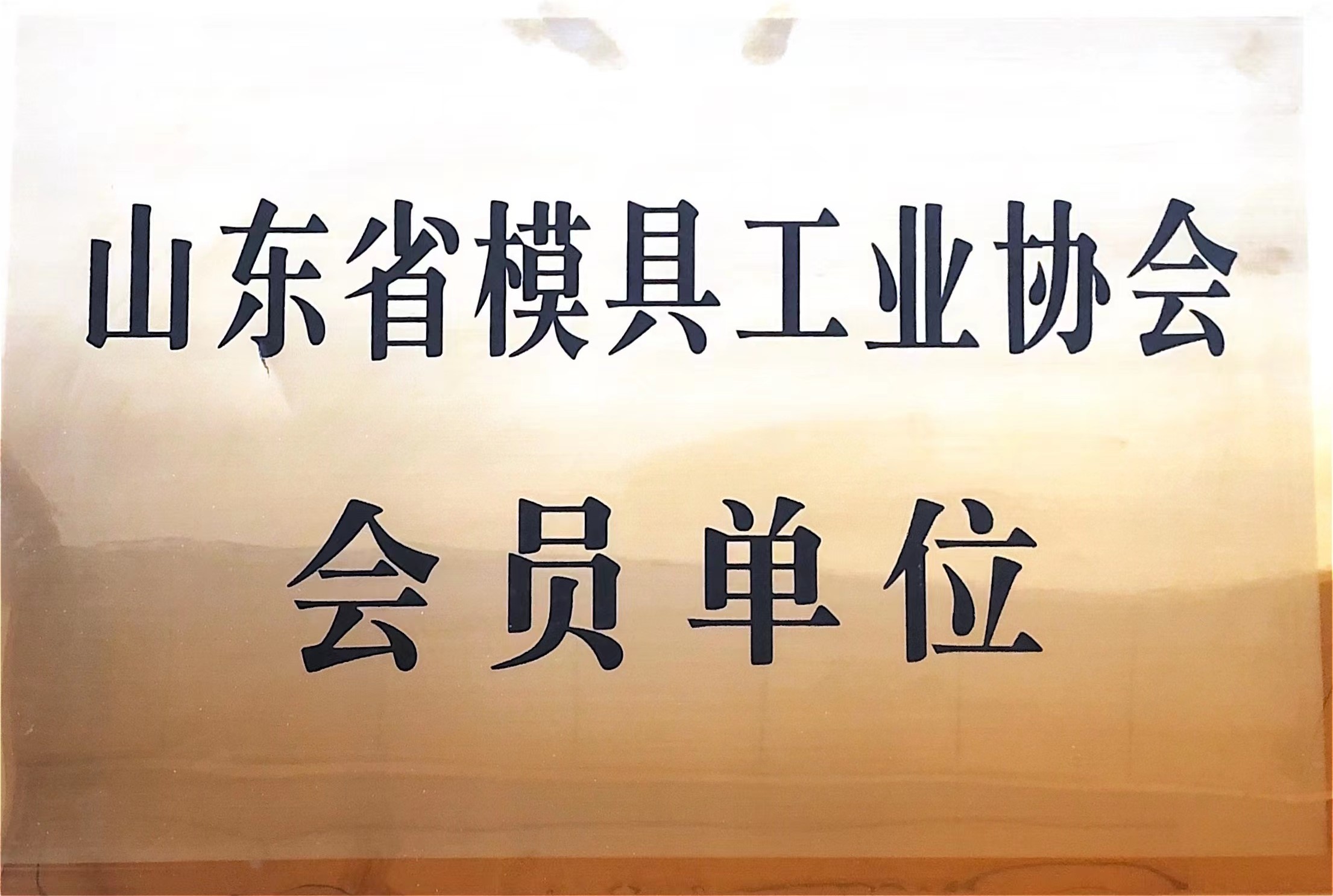 山東省模具工業(yè)協(xié)會會員單位